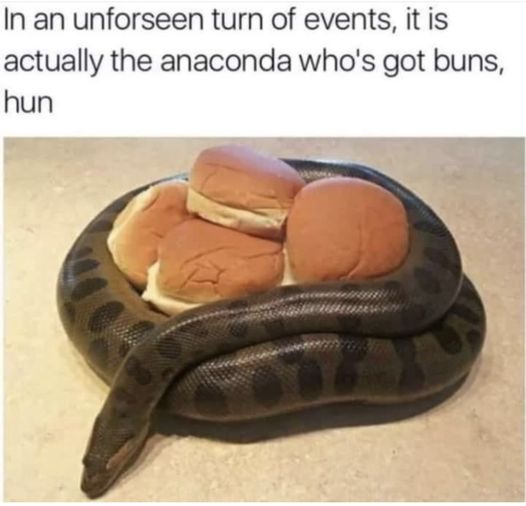 MC Hammer knew!  #MCHammer #Music #Animals #Anaconda #Buns