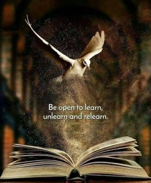 Knowledge takes flight when the mind dares to open and evolve.