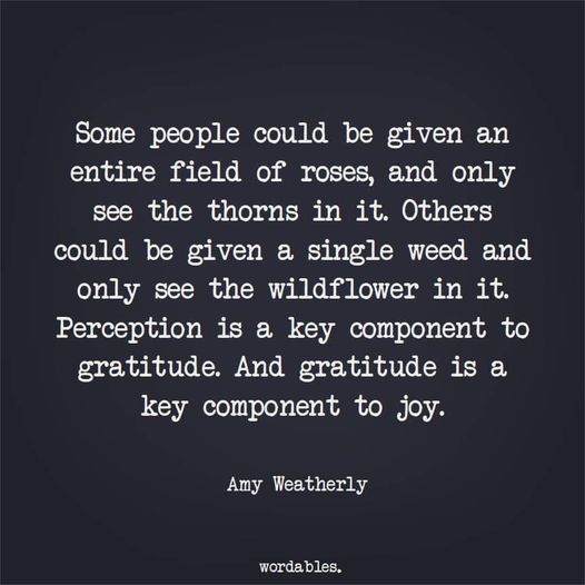 The lens of gratitude transforms perception into joy.